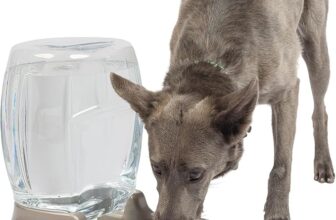 Automatic Pet Water Dispensers: Are These the Stress-Free Hydration Fix Every Pet Owner Needs?